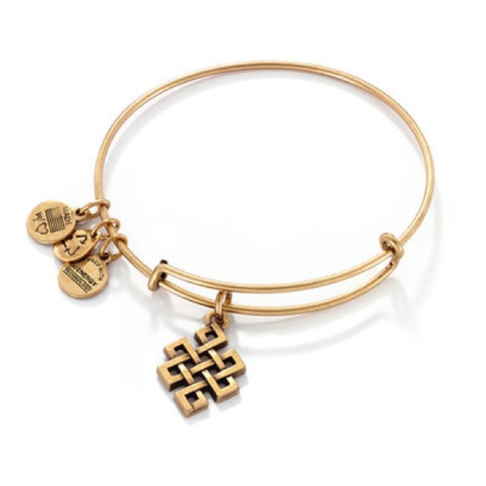 RARE Alex and Ani Endless Knot Bracelet